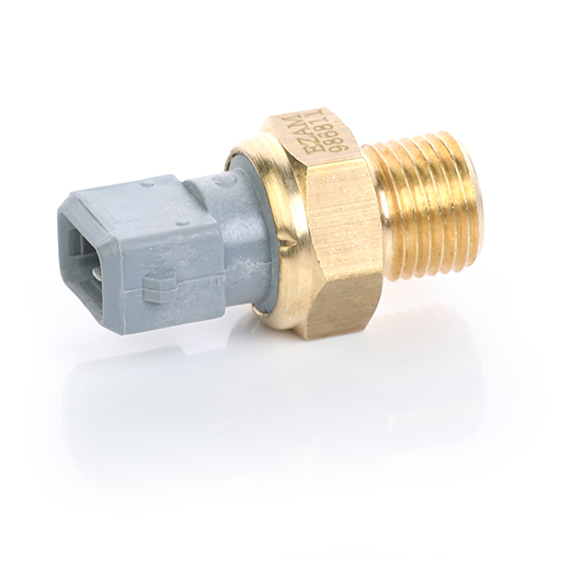 فشنگی روغن پژو 405