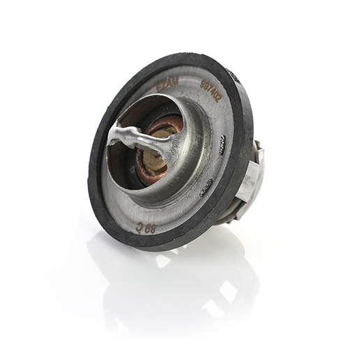 ترموستات ال نود ( 89 درجه)